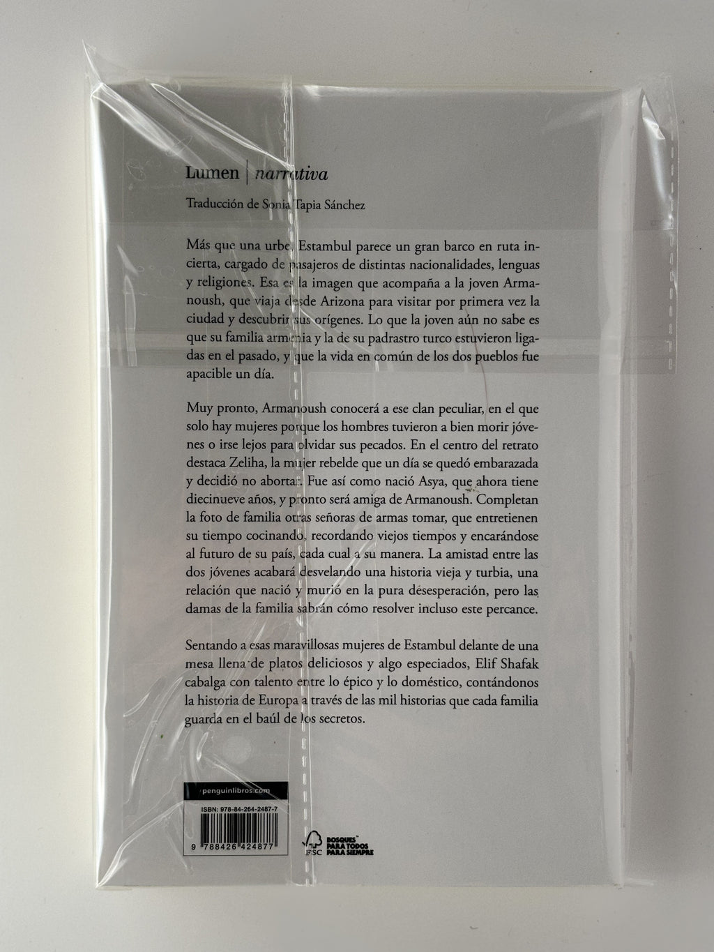 La bastarda de Estambul