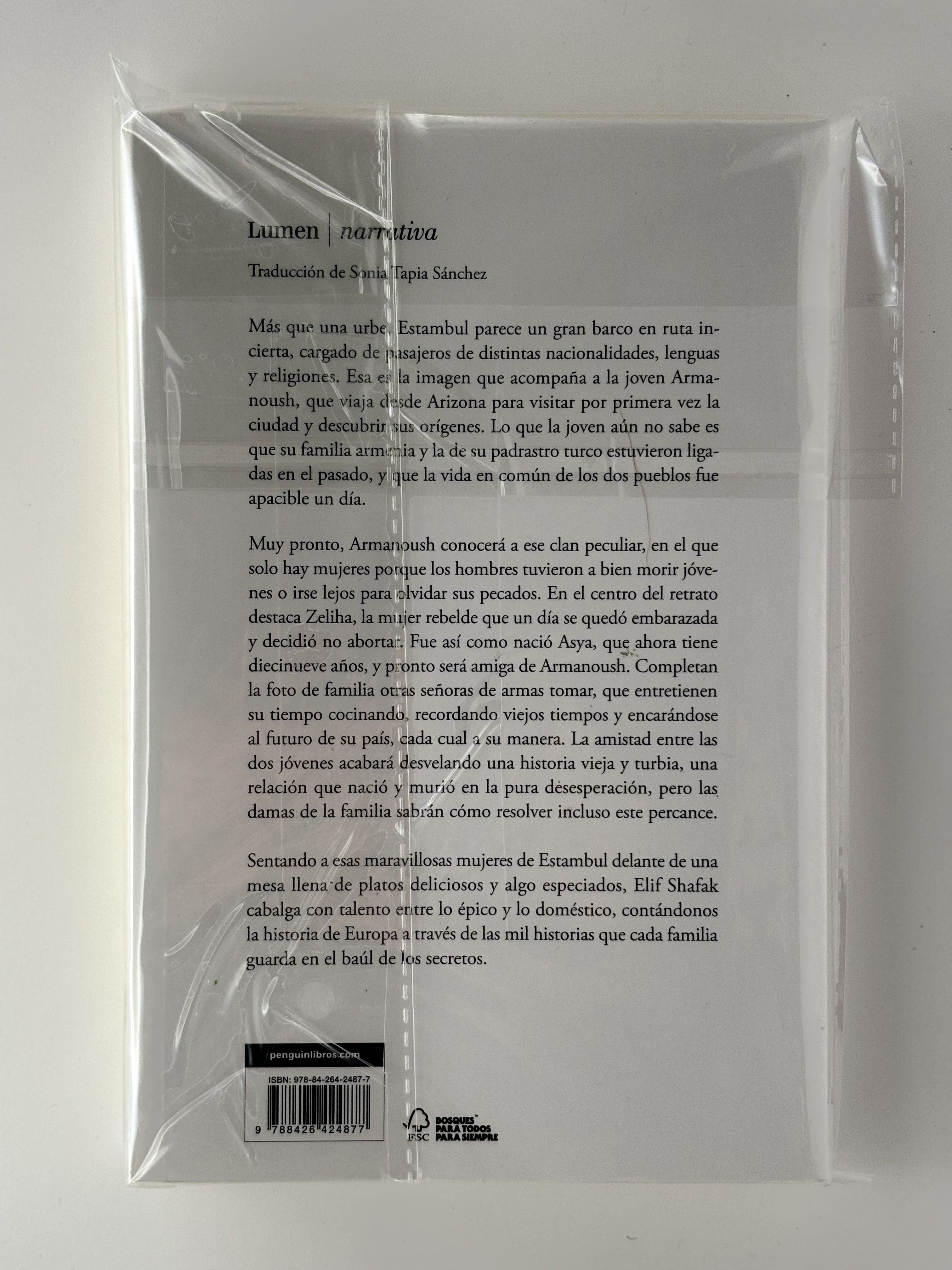 La bastarda de Estambul