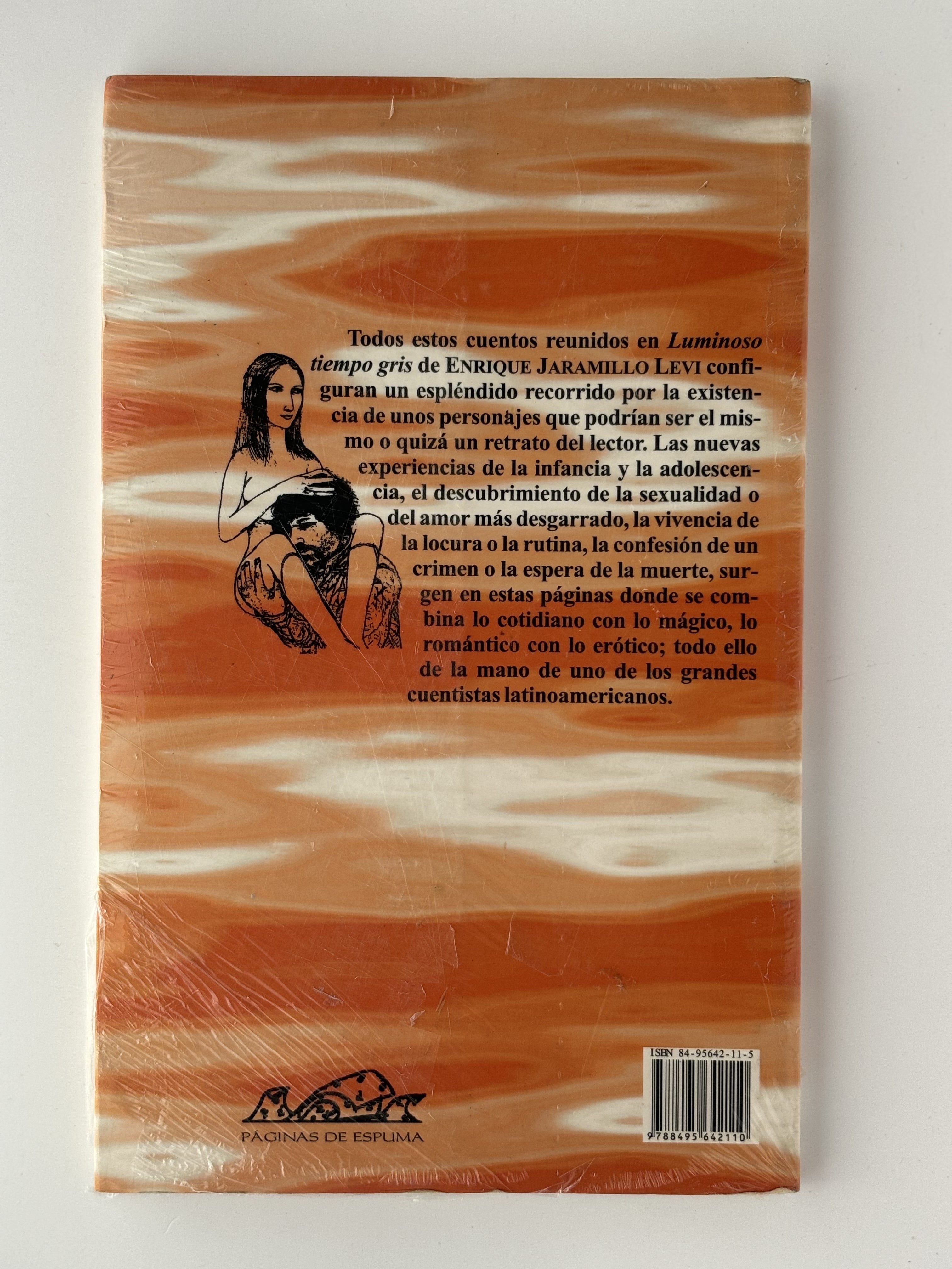 Luminoso tiempo gris - Enrique Jaramillo Levi