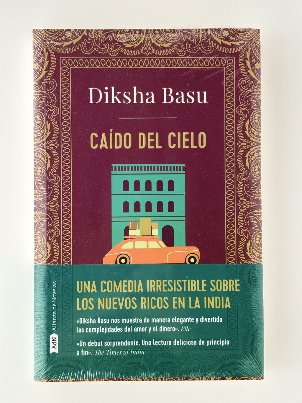 Caído del cielo - Diksha Basu