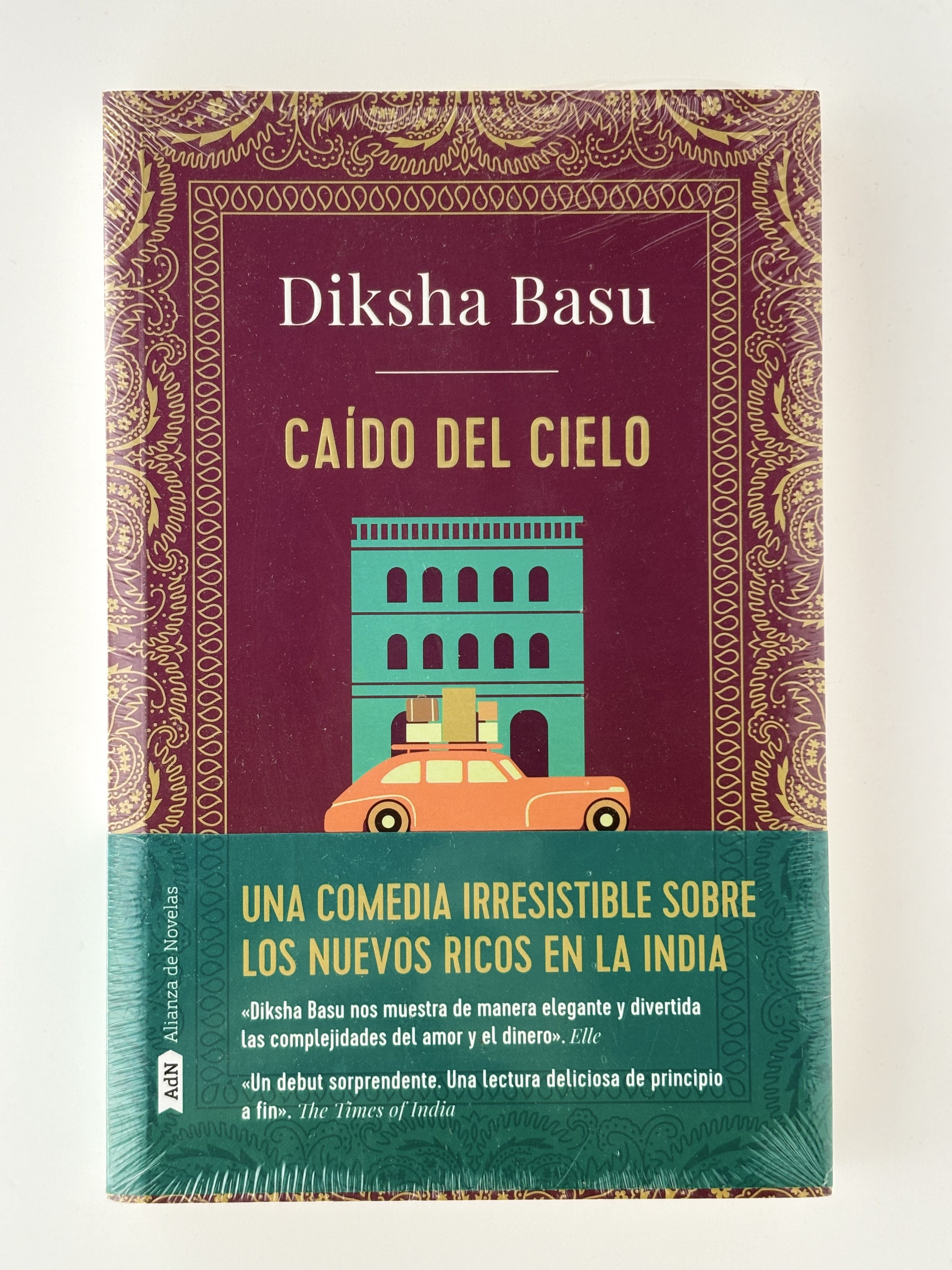 Caído del cielo - Diksha Basu