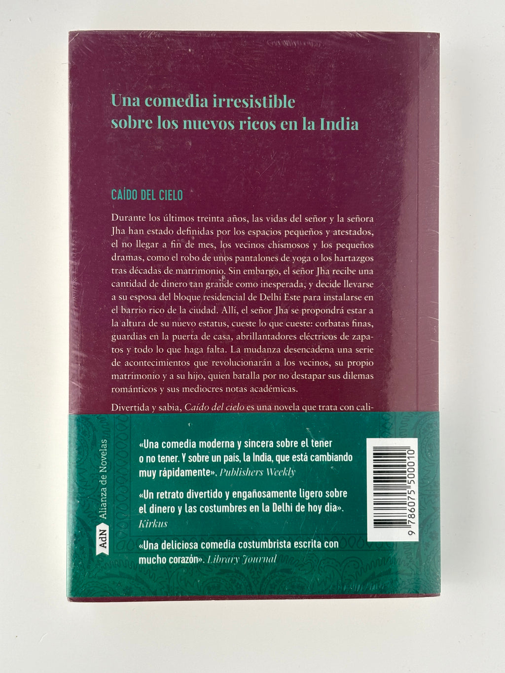 Caído del cielo - Diksha Basu