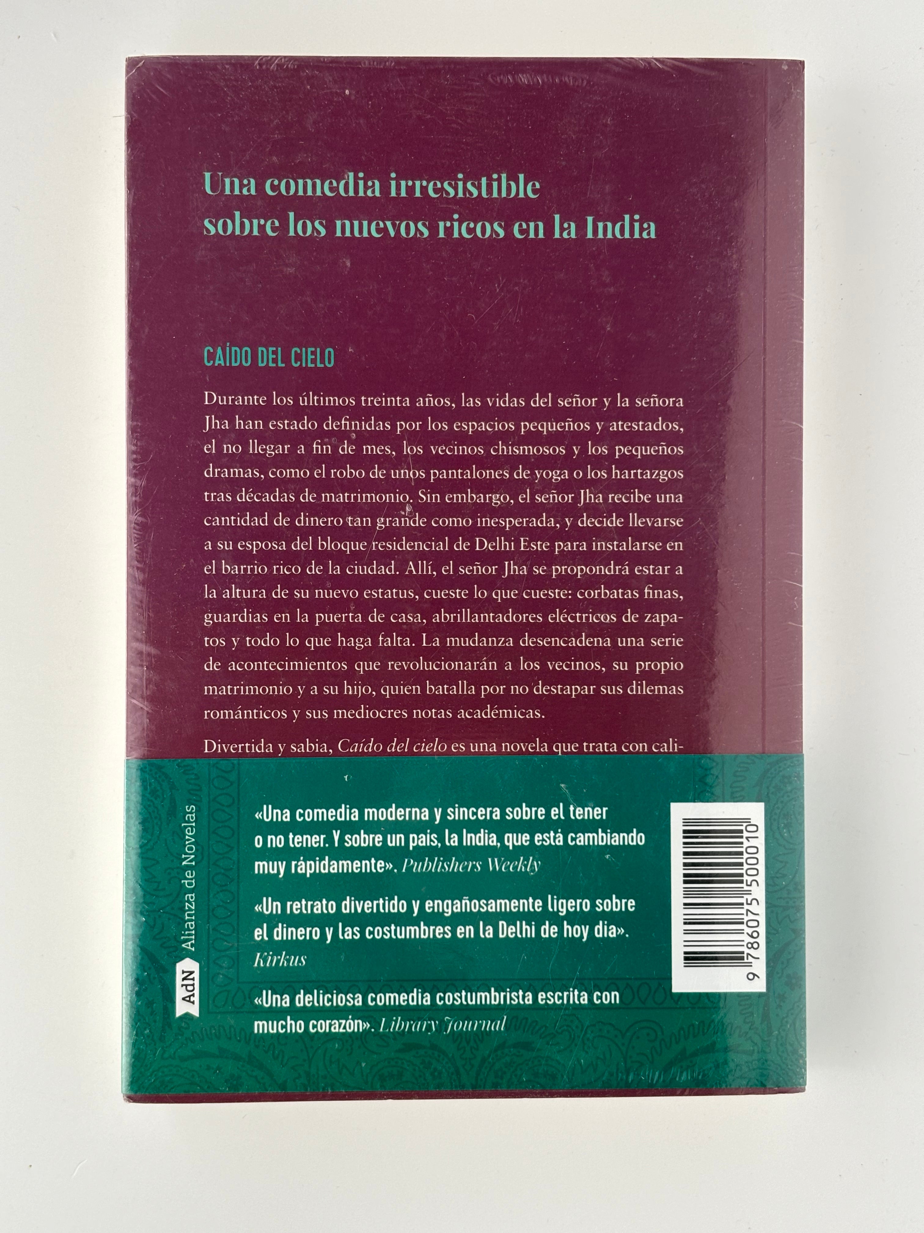 Caído del cielo - Diksha Basu