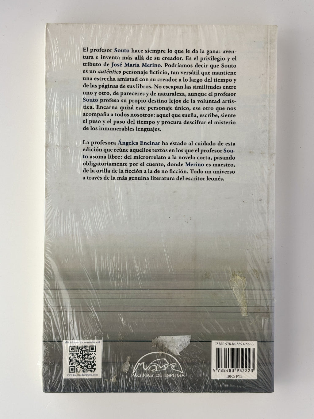 Aventuras e invenciones del profesor Souto - José María Merino