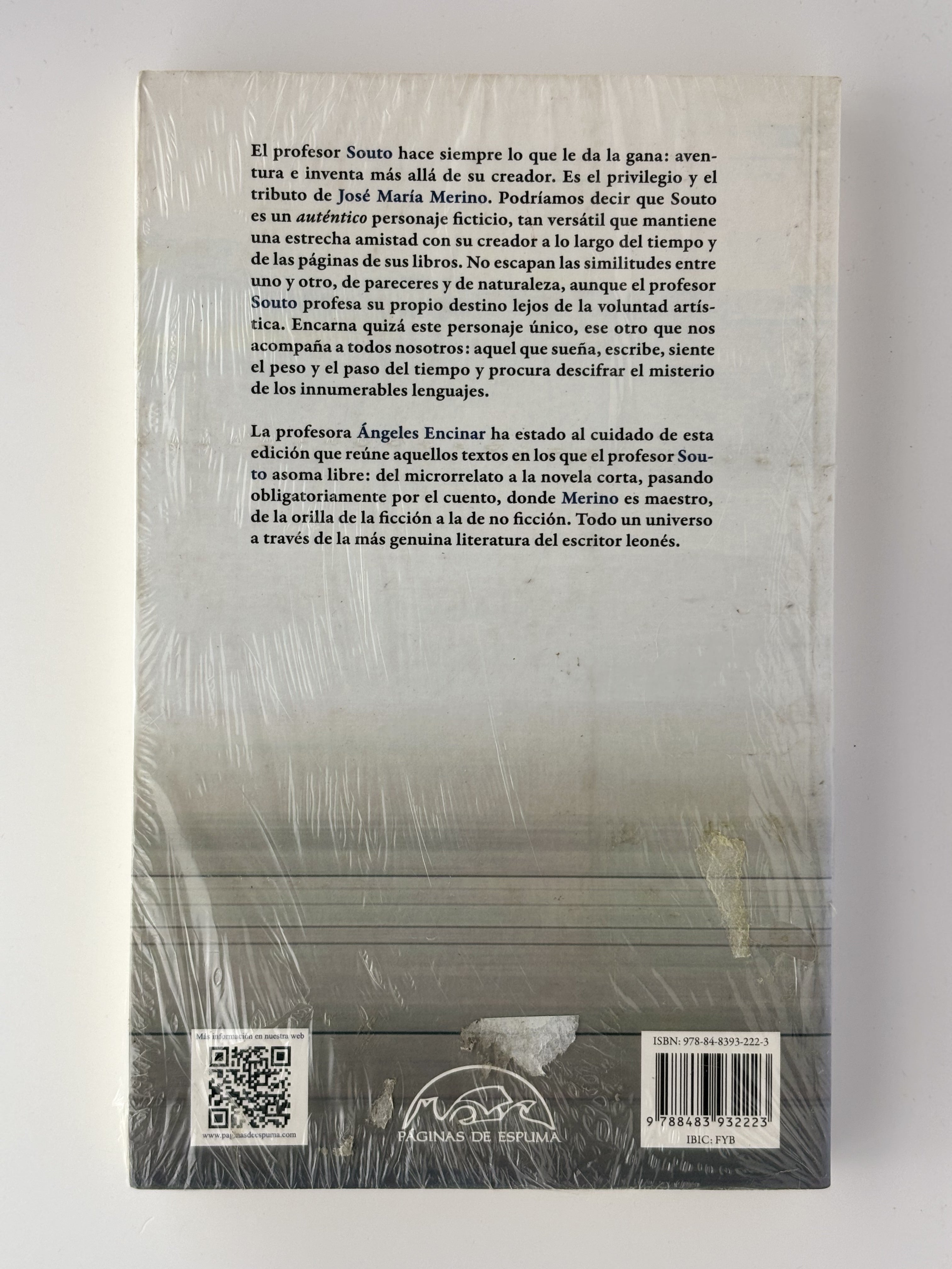 Aventuras e invenciones del profesor Souto - José María Merino