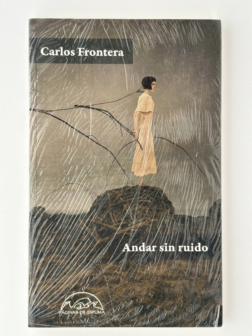 Andar sin ruido - Carlos Frontera